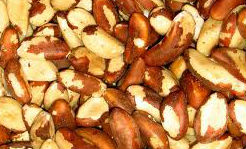 brazil nut fruit