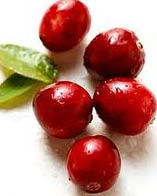 CRANBERRY and leaf example