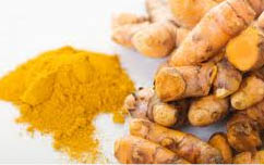 curcumin root herb