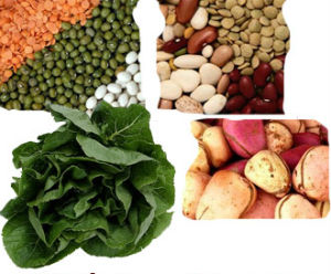 magnesium fOods