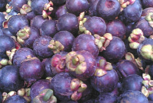 mangosTeen fruit