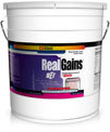 REAL GAINS STRAWBERRY 3.81 LB 3.81 lb from UNIVERSAL NUTRITION