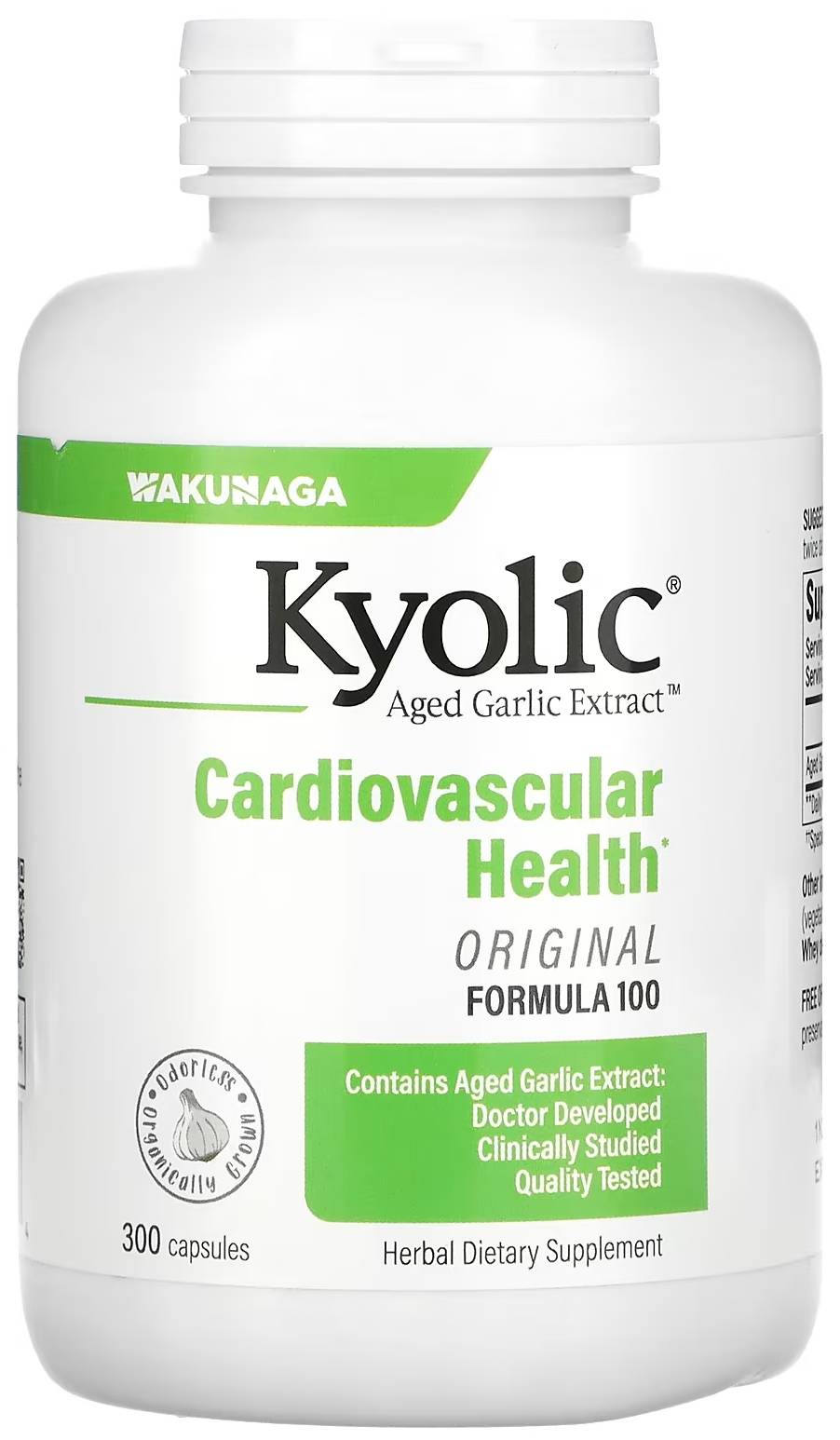 WAKUNAGA/KYOLIC: Kyolic Aged Garlic Extract Hi-Po Formula 100 300 caps