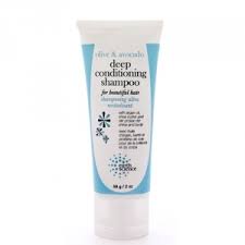 EARTH SCIENCE: Deep Conditioning Shampoo 2 oz