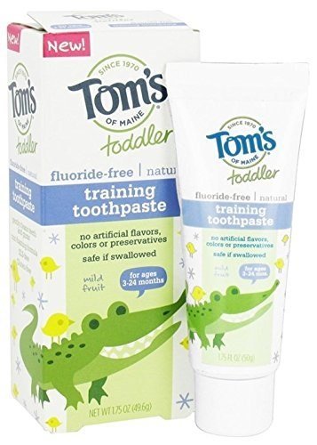 TOM'S OF MAINE: Fluoride Free Toddler Training Toothpaste Mild Fruit Gel 1.75 oz