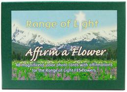Flower essence - Setofrangeo flight flower cards 48PC