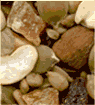 TRAIL MIX,TEX MEX
