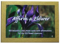 Setoffes flower cards spanish, 103PC