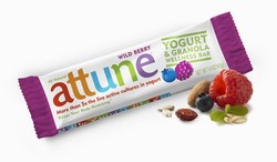 PROBIOTIC BAR,WILD BERRY