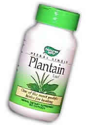 Plantain Leaf 100 caps from NATURE'S WAY