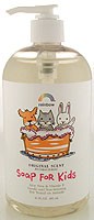 SOAP,ANTIBAC,KID,ORIGINAL Case of 1 / 16 OZ from Rainbow Research