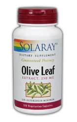 Olive leaf extract, 120ct 250mg - 22%