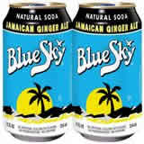 Blue Sky Natural Beverage Company: Soda,jamaican ginger ale 6 PACK