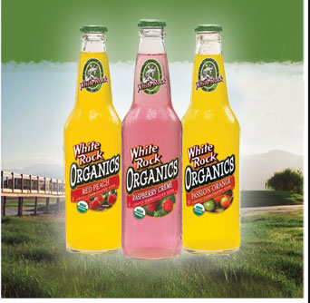 Soda,og,raspberry creme Case of 6 / 4 12 OZ from White Rock Organics