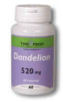 Dandelion root 520mg 60ct 520mg from Thompson Nutritional