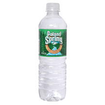 SPRING WATER,.5 LITER - 24 / .5 LTR from Poland Springs