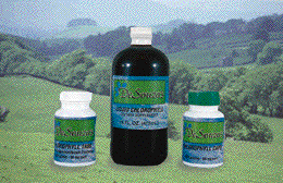 100% PURE LIQ CHLOROPHYLL - 1 / 8 OZ from Desouzas International