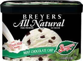 ICE CREAM,MINT CHOC CHIP