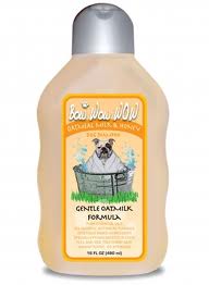 CARIBBEAN SOLUTIONS: Pet Shampoo Oatmeal Honey 16 oz