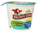 Nf yogurt,blueberry Case of 12 / 6 OZ from Brown Cow West Inc