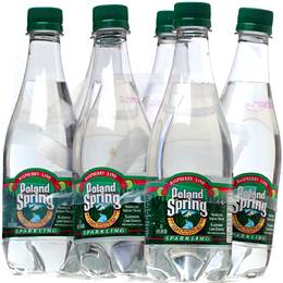 SPRKLNG WATER,RASP/LIME Case of 12 / 33.8 OZ from Poland Springs