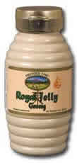 Royal Jelly Ginseng in Honey Squeeze 11oz 14000mg from Premier