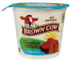 NF YOGURT,CHOCOLATE Case of 12 / 6 OZ from Brown Cow West Inc