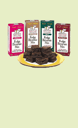 BROWNIE MIX DISPLAY Case of 48 / 13.7 OZ from No Pudge