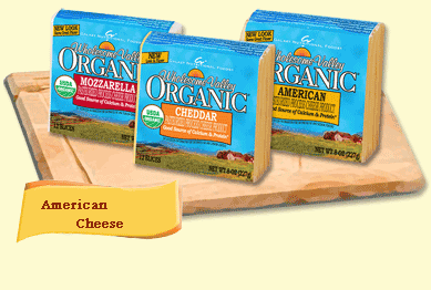 Wholesome Valley Organic: Cheese food slcs,og,amer 8 OZ