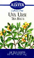ALVITA TEAS: Uva Ursi Tea 24 bags