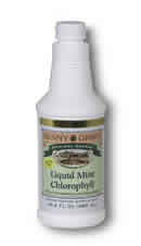 Chlorophyll Mint Liquid 16oz 100mg from Sunny Green