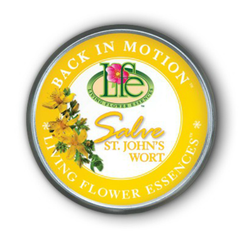Living Flower Essence: Back in Motion Salve 2.5 oz Salve