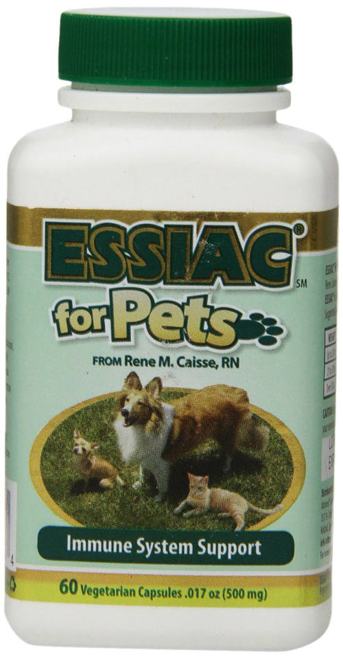 ESSIAC INTERNATIONAL: Essiac for Pets Herbal Supplement 60 capsule