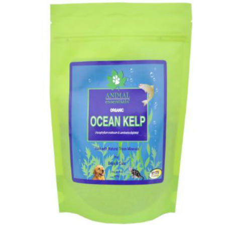ANIMAL ESSENTIALS INC: Organic Ocean Kelp Supplement for Dogs & Cats 8 oz