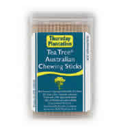 TEA TREE TOOTHPICKS 6 100 COUNT 6 BOX OF 100 TOOTHPICKS from Natures Plus
