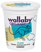 YOGURT,OG,NF,PLAIN