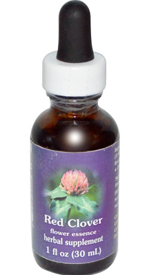 RED CLOVER DROPPER Dietary Supplements