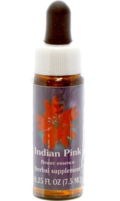 Flower essence: INDIAN PINK DROPPER 0.25OZ