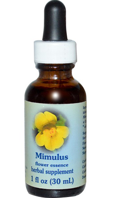 Flower essence: MIMULUS DROPPER 1OZ