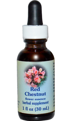Flower essence: RED CHESTNUT DROPPER 1OZ