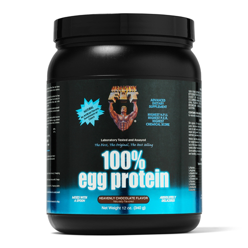 HEALTHY N FIT NUTRITIONALS: 100% Egg Protein Chocolate Powder 12 oz