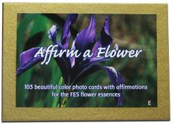 Setoffes flower cards english, 103PC
