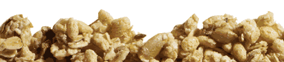 GRANOLA BAR,ASST FLV,DSP Case of 72 / 7 OZ from Nature's Path