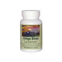 Ginkgo Biloba 90 caps from FOODSCIENCE OF VERMONT