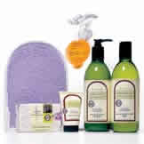 Tote Bag Mint Thyme 4 pc from AVALON ORGANIC BOTANICALS