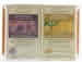 Bar Soap w/Wooden Soap Dish 4.5 oz from AVALON ORGANIC BOTANICALS