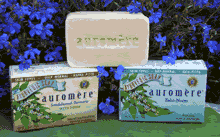 Ayurvedic Soap Sandal-Turmeric 2.75 oz from AUROMERE