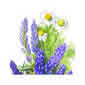 Rosemary & Lavender 4 oz from BROOKSIDE HERBAL SOAPS