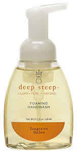 Liquid handwash tangerine melon, 9 oz