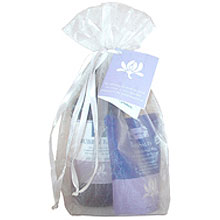 Eo products - Gift bag rose geranium and citrus bubble bath 12oz bath salts 4oz 1 bag